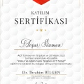 Resmi büyüt: certificate 1