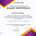 Resmi büyüt: certificate 18