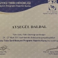 Resmi büyüt: certificate 2