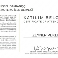 Resmi büyüt: certificate 9
