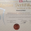 Resmi büyüt: certificate 6