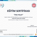Resmi büyüt: certificate 4