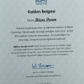 Resmi büyüt: certificate 3