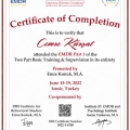 Resmi büyüt: certificate 5
