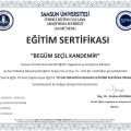Resmi büyüt: certificate 5