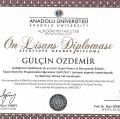 Resmi büyüt: certificate 23