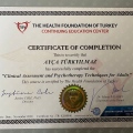 Resmi büyüt: certificate 9