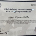 Resmi büyüt: certificate 3