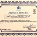 Resmi büyüt: certificate 12