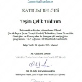 Resmi büyüt: certificate 6