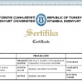 Resmi büyüt: certificate 1