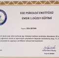Resmi büyüt: certificate 10