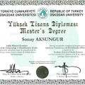 Resmi büyüt: certificate 2