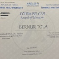 Resmi büyüt: certificate 1