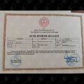 Resmi büyüt: certificate 5