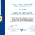 Resmi büyüt: certificate 1