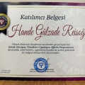 Resmi büyüt: certificate 4