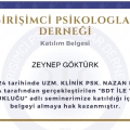 Resmi büyüt: certificate 23