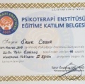 Resmi büyüt: certificate 7