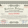Resmi büyüt: certificate 17