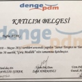 Resmi büyüt: certificate 3