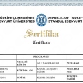Resmi büyüt: certificate 3