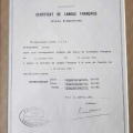 Resmi büyüt: certificate 6