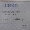 Resmi büyüt: certificate 1