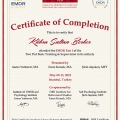 Resmi büyüt: certificate 1