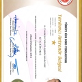 Resmi büyüt: certificate 52