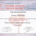 Resmi büyüt: certificate 14