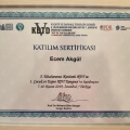 Resmi büyüt: certificate 4
