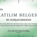 Resmi büyüt: certificate 8