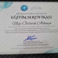 Resmi büyüt: certificate 3