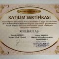 Resmi büyüt: certificate 16