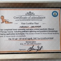 Resmi büyüt: certificate 3