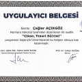 Resmi büyüt: certificate 8