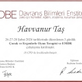 Resmi büyüt: certificate 6