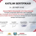 Resmi büyüt: certificate 14