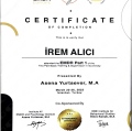 Resmi büyüt: certificate 1
