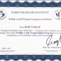 Resmi büyüt: certificate 1