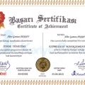 Resmi büyüt: certificate 11