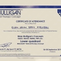 Resmi büyüt: certificate 26