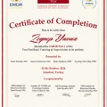 Resmi büyüt: certificate 13