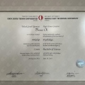 Resmi büyüt: certificate 2