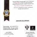 Resmi büyüt: certificate 7