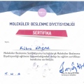 Resmi büyüt: certificate 6