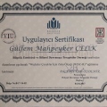 Resmi büyüt: certificate 5