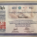 Resmi büyüt: certificate 5