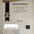 Resmi büyüt: certificate 41